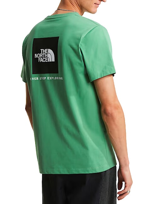 EVOLUTION BOX T-shirt a manica corta, 100% cotone dimmed algae - T-shirt Uomo