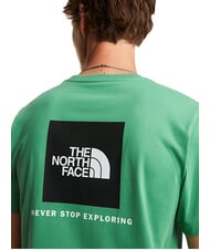 THE NORTH FACE EVOLUTION BOX T-shirt a manica corta, 100% cotone dimmed algae - T-shirt Uomo - 5