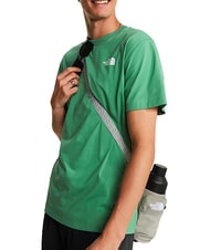 THE NORTH FACE EVOLUTION BOX T-shirt a manica corta, 100% cotone dimmed algae - T-shirt Uomo - 6