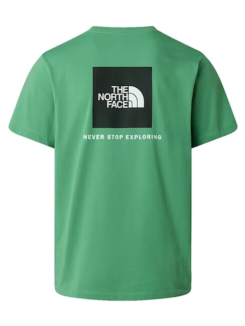EVOLUTION BOX T-shirt a manica corta, 100% cotone dimmed algae - T-shirt Uomo