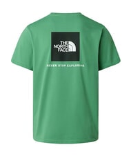 THE NORTH FACE EVOLUTION BOX T-shirt a manica corta, 100% cotone dimmed algae - T-shirt Uomo - 9
