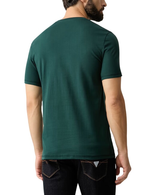 AIDY T-shirt scritta in tinta alpine grove - T-shirt Uomo