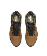 TIMBERLAND FIELD TREKKER Sneakers medium brown nubuck - Scarpe Uomo - 5