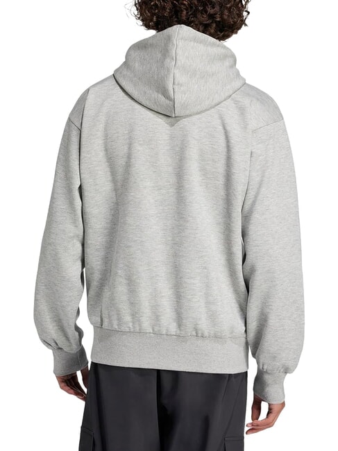 LINEAR Felpa con cappuccio grey - Felpe Uomo