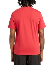 TIMBERLAND KENNEBEC RIVER LINEAR LOGO T-shirt in cotone american beauty - T-shirt Uomo - 2