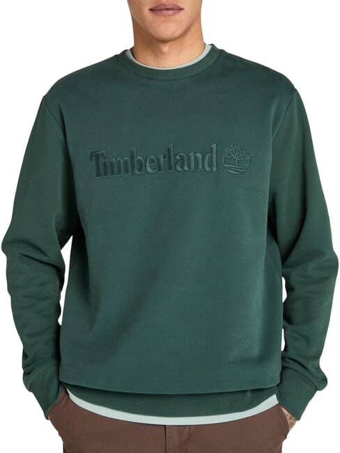 EMBROIDERY TONAL Felpa girocollo green gables - Felpe Uomo