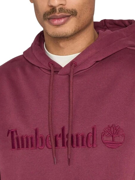 EMBROIDERY TONAL Felpa con cappuccio burgundy - Felpe Uomo