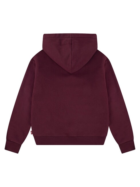 BATWING Felpa con cappuccio chocolate truffle - Felpe