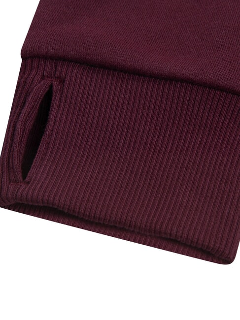 BATWING Felpa con cappuccio chocolate truffle - Felpe