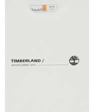 TIMBERLAND OCEAN Maglietta in cotone white - T-shirt Uomo - 3