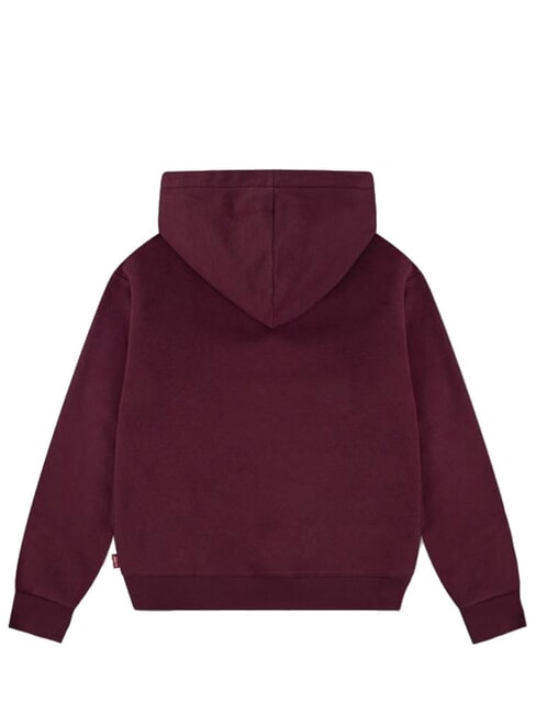 BATWING Felpa con cappuccio chocolate truffle - Felpe