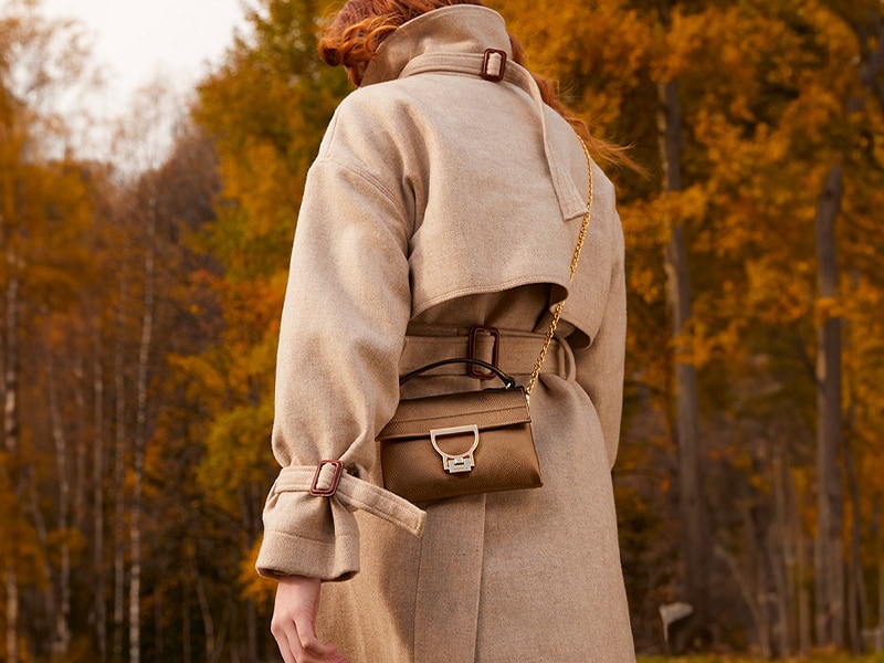 COCCINELLE-generico OTTOBRE	